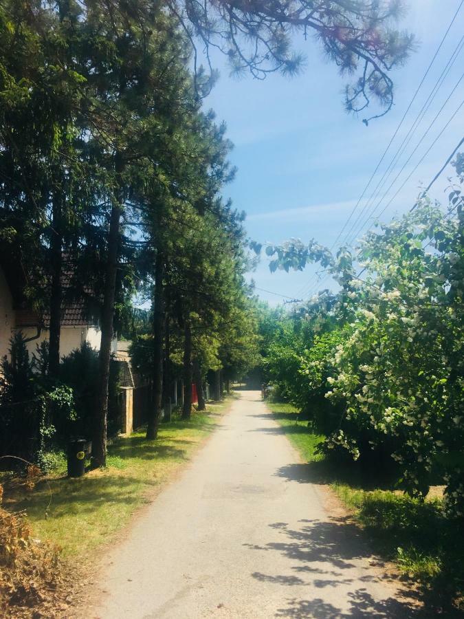 Cottage By The Lake 벌러토누드버리 외부 사진